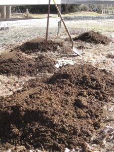 Rich Composted Manure