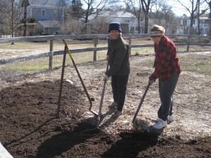 Spreading Manure