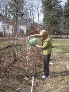 Watering