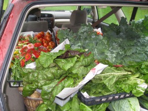 Seats down, trays carefully layered, this was one full delivery wagon!