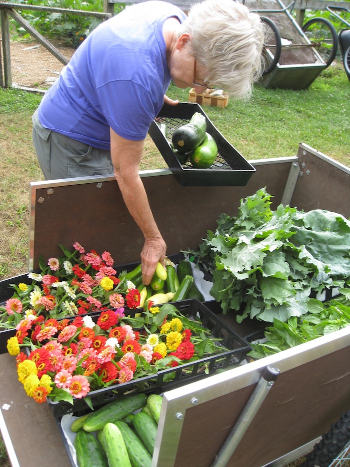 Loading the wheelbarrow