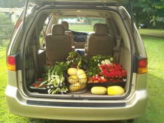 We needed a mini-van to carry all the produce to the pantry