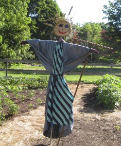 Our new Garden Angel!