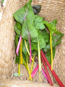 This basket was filled with chard - twice!