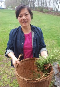 One of our volunteers shared something new with us—how a weed we would have blithely tossed away is used in other cultures. The feathery green this volunteer is holding can be cooked along with ginger and soy to create a broth that sooths the tummy.